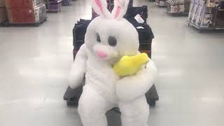 Running Around a Walmart in a Bunny Suit