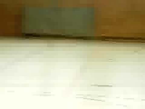 mszw  in aktion in kalbe/milde 2005 spiel 2