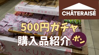 【シャトレーゼ】500円ガチャで購入してみた🍰🍨