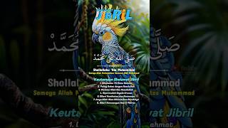 Download lagu Sholawat Jibril Penarik Rezeki - Sholawat Nabi Merdu Penenang Hati dan Pikiran #sholawatjibril mp3 Download lagu Sholawat Jibril Penarik Rezeki - Sholawat Nabi Merdu Penenang Hati dan Pikiran #sholawatjibril mp3