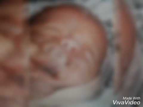 Asenovgrad 2018 aras1