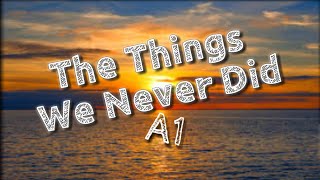 The things we never did|| A1