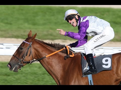 Köln: 53. Preis von Europa (Gruppe 1) - Siegerin: Nightflower