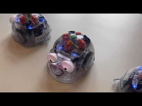 Sommerfest 2023 vom Schüler-Forschungs-Zentrum (SFZ) Osnabrück