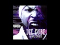 11 - Ice Cube - Gotta Be Insanity
