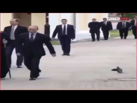 In soviet Russia, bird salute you