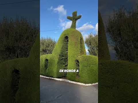PINGUILÍ -MOCHA - TUNGURAHUA