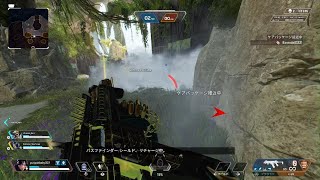 【Apex 】気持ちよくなるチーデ