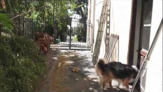 Gone Too Soon - Simple Plan (music video) (2nd place in HeyHeyItsEmily contest)