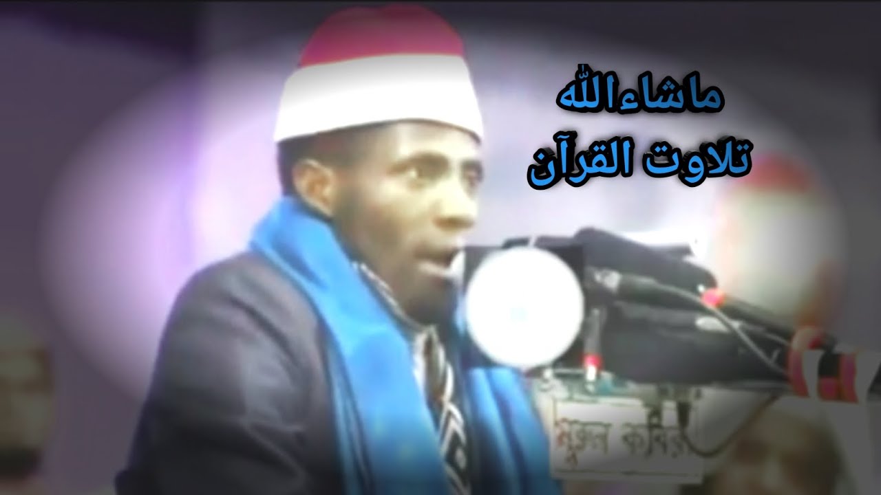 Beautiful Quran Recitation That Brings Peace to the Hearts 💕 #تلاوة #تلاوت #قران_كريم #ماشاءالله 