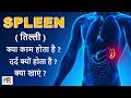 Spleen Information In Hindi Why Does Spleen Pain Occur What To Eat For Spleen Pain