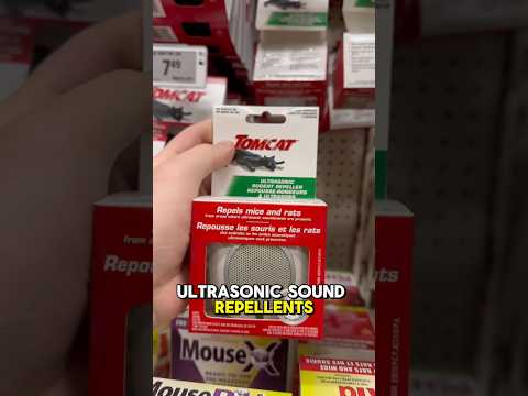 BIGGEST SCAM Pest Control Product