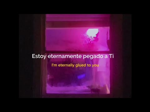 RIDERS - glued to you (Español + Lyrics)