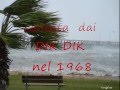 IL VENTO - DIK DIK 