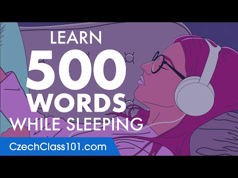 Czech Conversation: Learn while you Sleep with 500 words