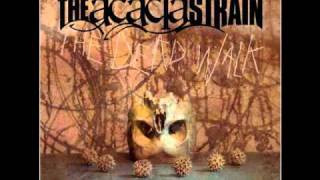 The Acacia Strain 4x4 (Vocal Cover)