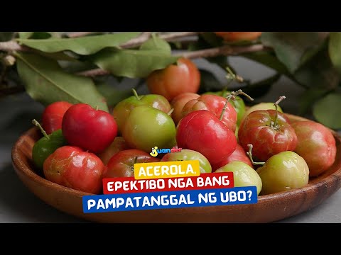 Acerola, epektibo nga bang pampatanggal ng ubo? I Juander