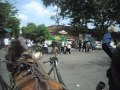 Selangkangan Perawan Tulen