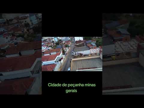 Peçanha minas gerais