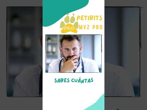 PetiBits Mvz Pro