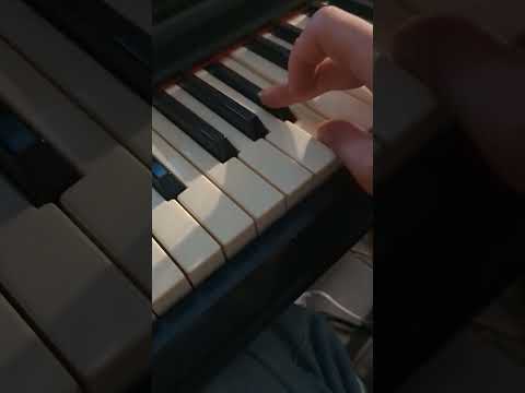 Crumar Baby grand electric piano 1970s -1980s - Wood image 8