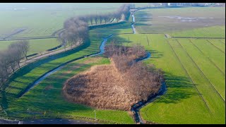 Geervliet, Ringdijk.