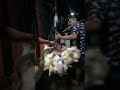 Process To Fresh Dress Chicken