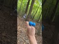 CREEPY CLOWN IN THE WOODS