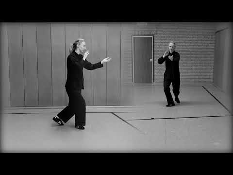 24er Pekingform zwei Perspektiven | Tai Chi 24 form