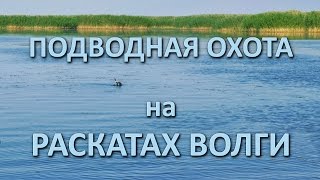 Ссылка