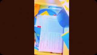 andrew bird first song