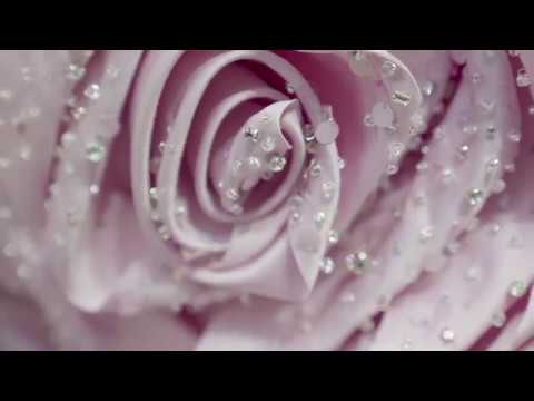 Redemption - Backstage Fashion Show Couture Fall 2019