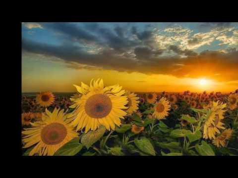 Di chi ti ricordi per sorridere?