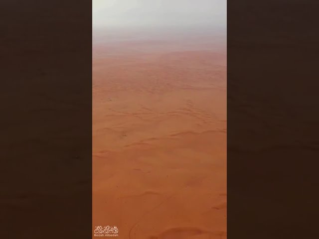 مظلة الشقردية بوليستر مقاس 3*5