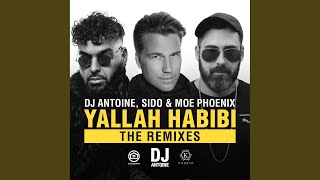 Yallah Habibi (Ahzee Remix)