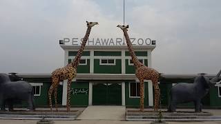 preview picture of video 'Peshawar Zoo - inside Peshawar Zoo'