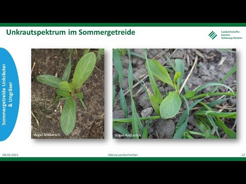 , title : 'Unkräuter + Ungräser im Sommergetreide Frühjahr 2021, LKSH'