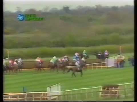 1992 Jameson Irish Grand National Handicap Chase