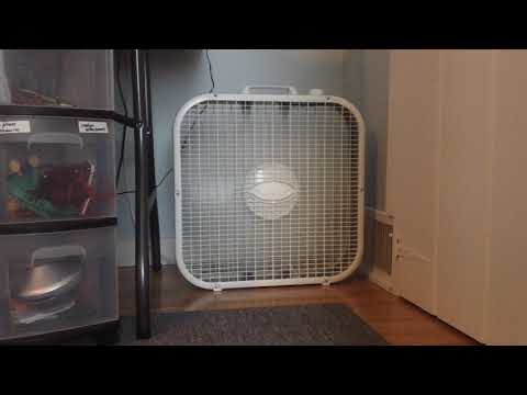 LASKO 20" Box Fan