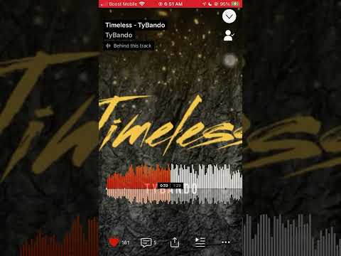 Ty bando - Timeless