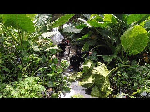 SE02EP104 Part 2 - PAGSUYOD sa MANHOLE ng BRGY. STA VERONICA | San Pablo City, Laguna