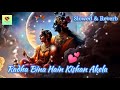 Radha Bina Hain Kishan Akela Slowed Reverb Man SDeep Music Zone Sandipborse7806