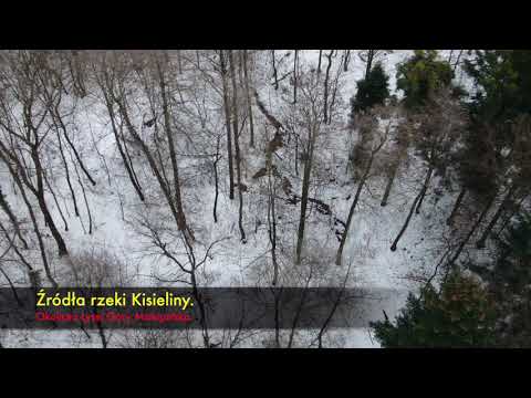 Rzeka Kisielina od źródeł do ujścia. Łysa Góra Sufczyn Biadoliny Radłów Opatowiec.