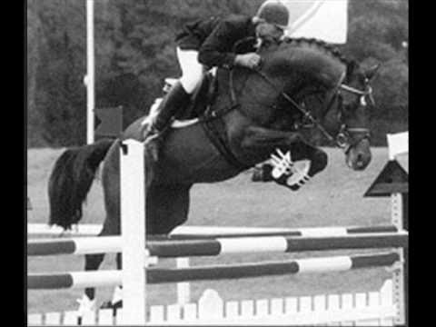 Lavall I_Hengstschau2010