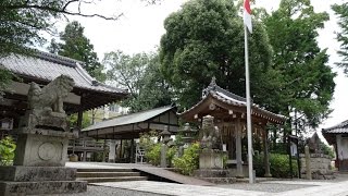 preview picture of video '(4K)京都寺社巡り2014 - 大井神社 Oi shrine Kyoto,Japan'