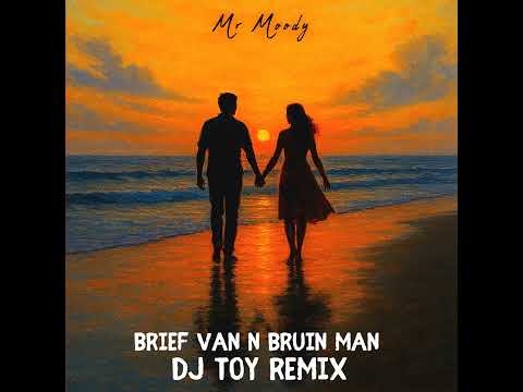 Mr Moody - Brief Van N Bruin Man(DJ TOY Remix)