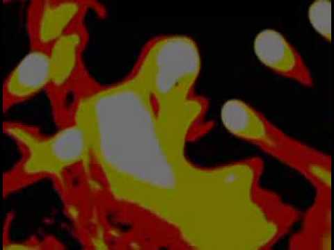 Hardbass Chapter 12 Offizial TV Spot