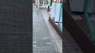 ぽて散歩♪ 久しぶりにｗ