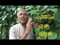 Ayurvedic Value Of Pepper ගම්මිරිස්