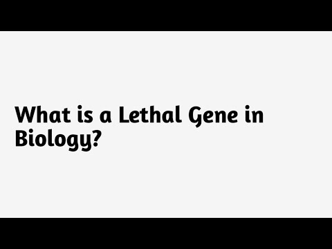 ¿Qué es un gen letal en biología?